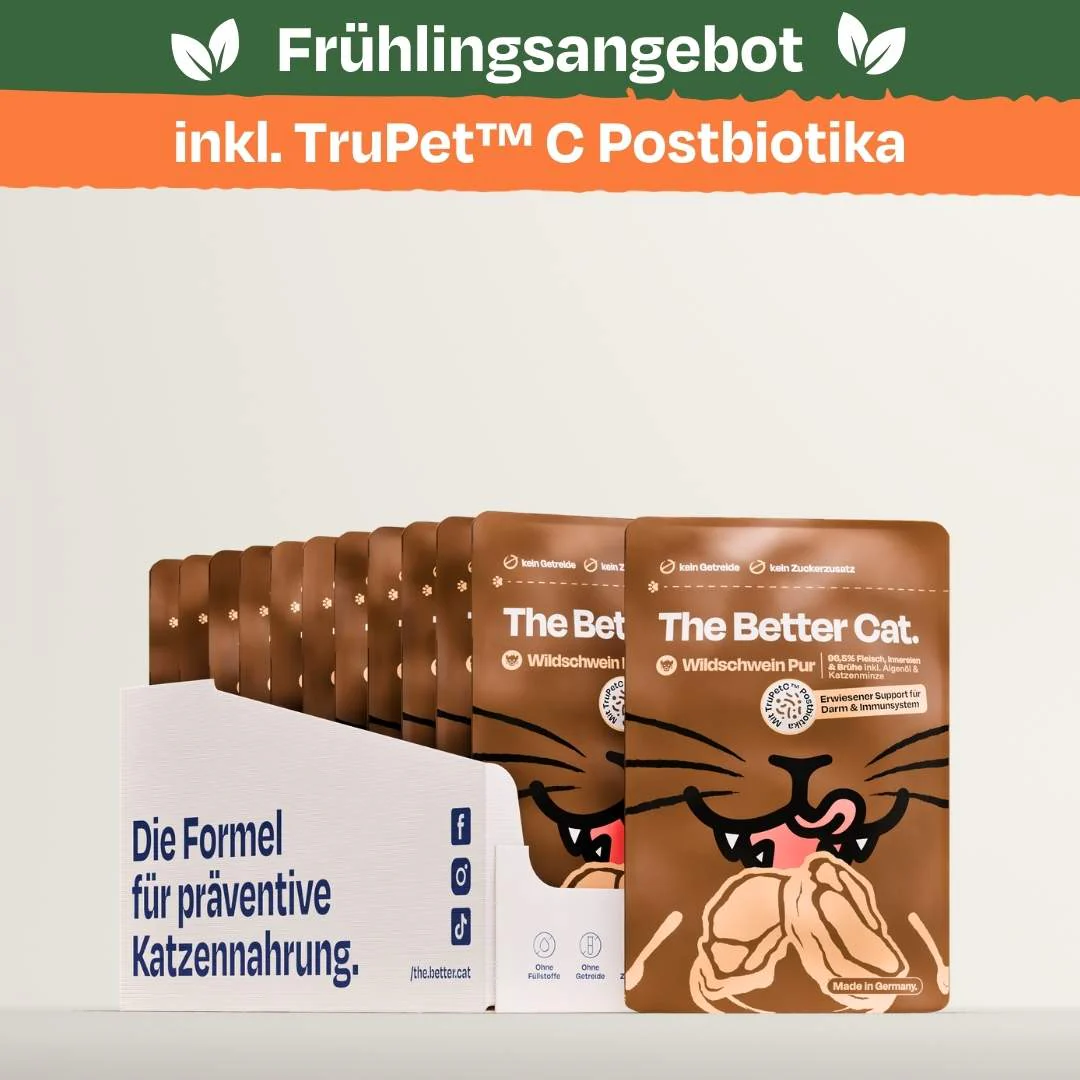 Black Friday Angebote