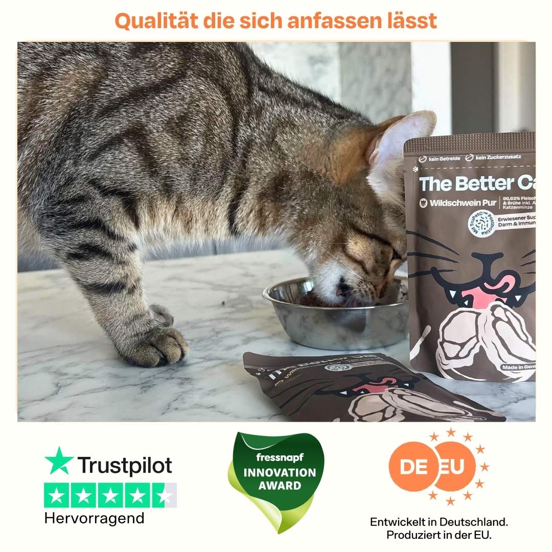 Vorschaubild 9