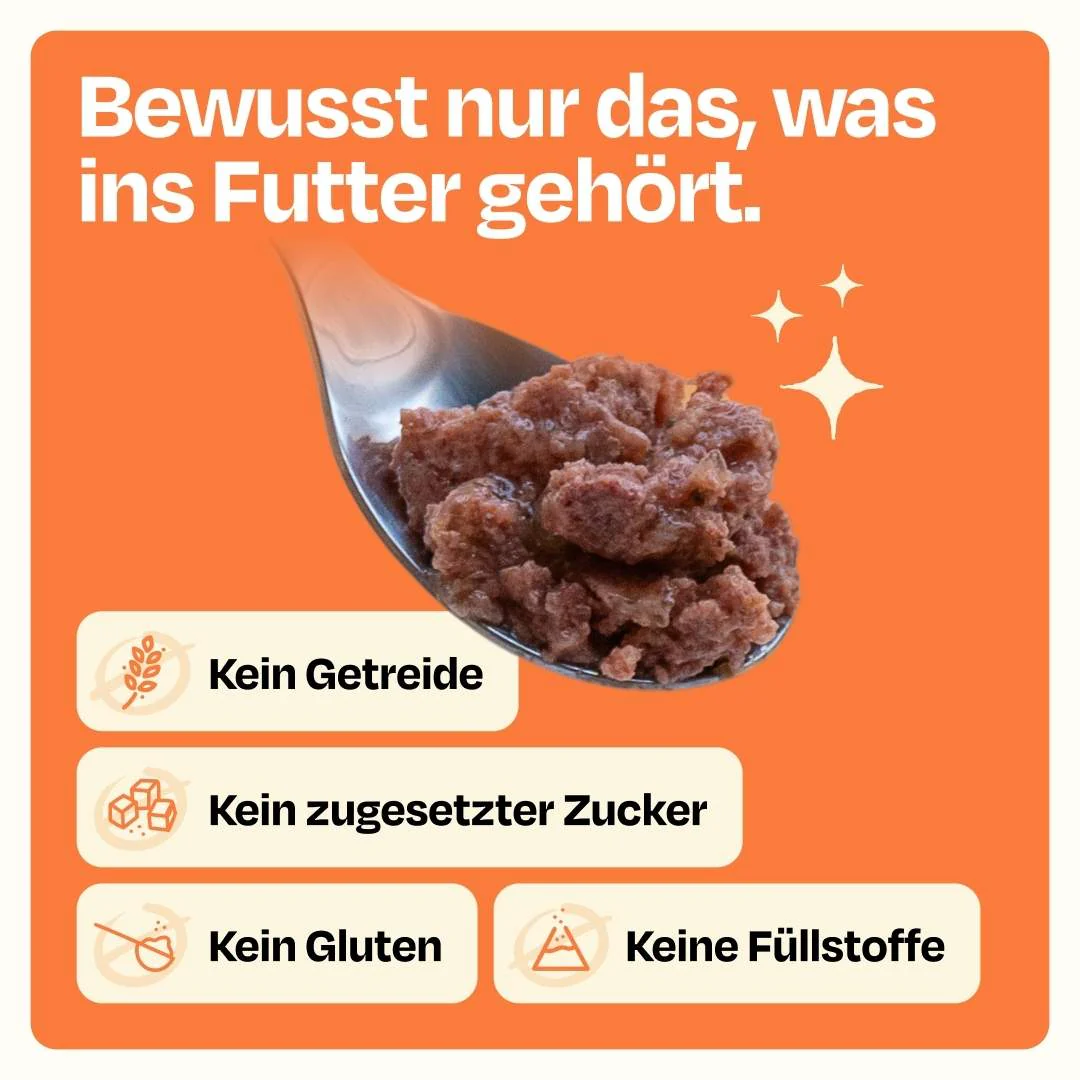 Vorschaubild 8