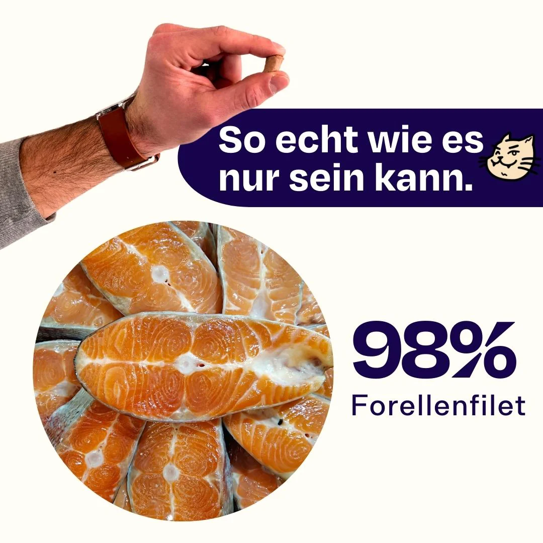 Vorschaubild 6