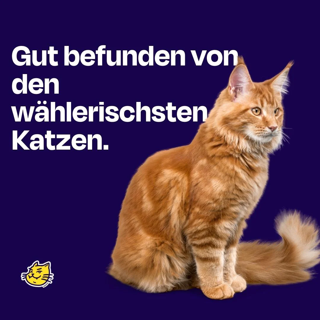 Vorschaubild 10