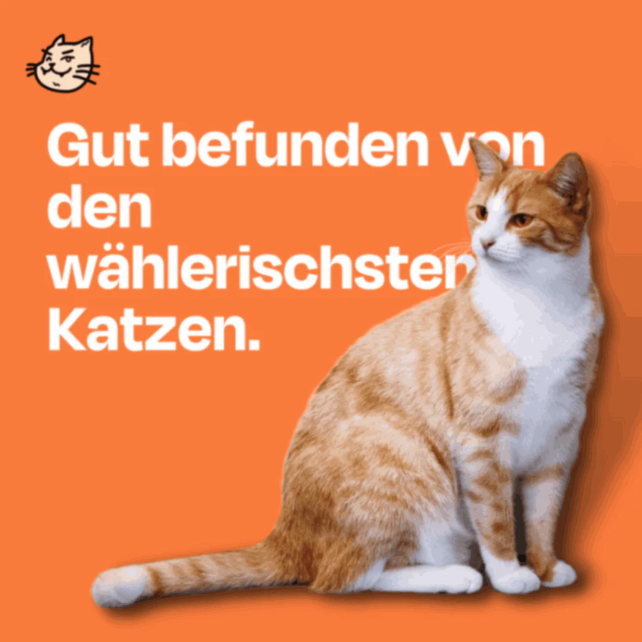 Vorschaubild 10