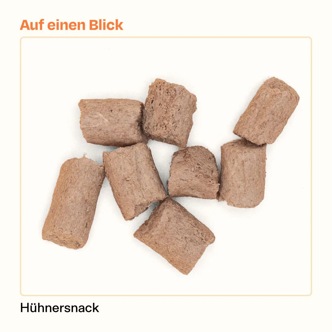 Vorschaubild 7