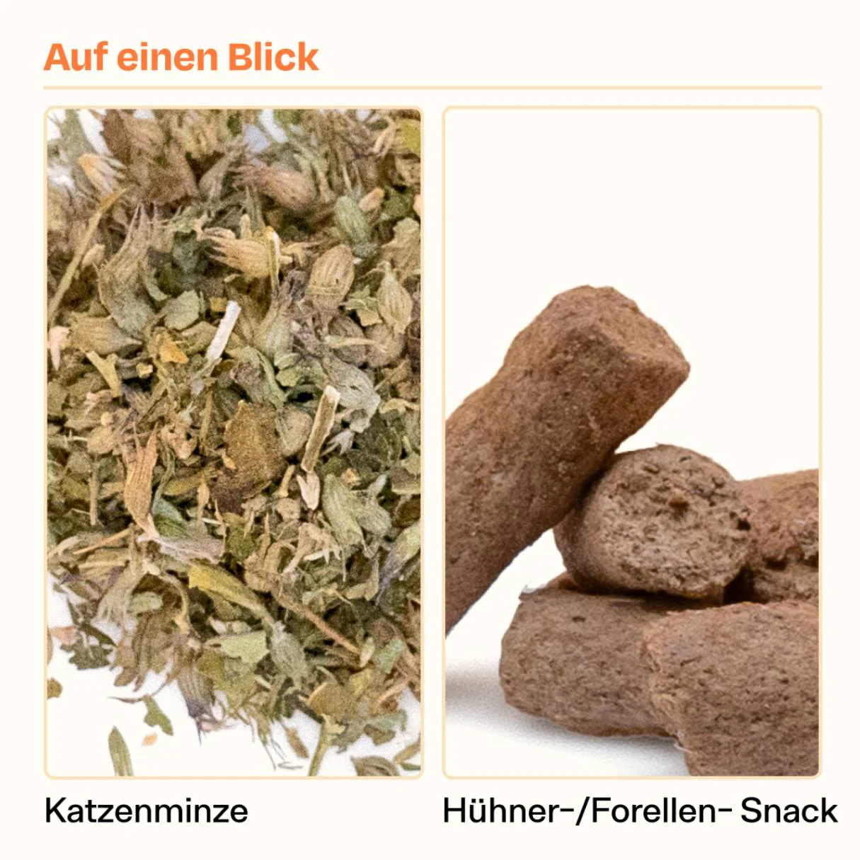 Vorschaubild 6