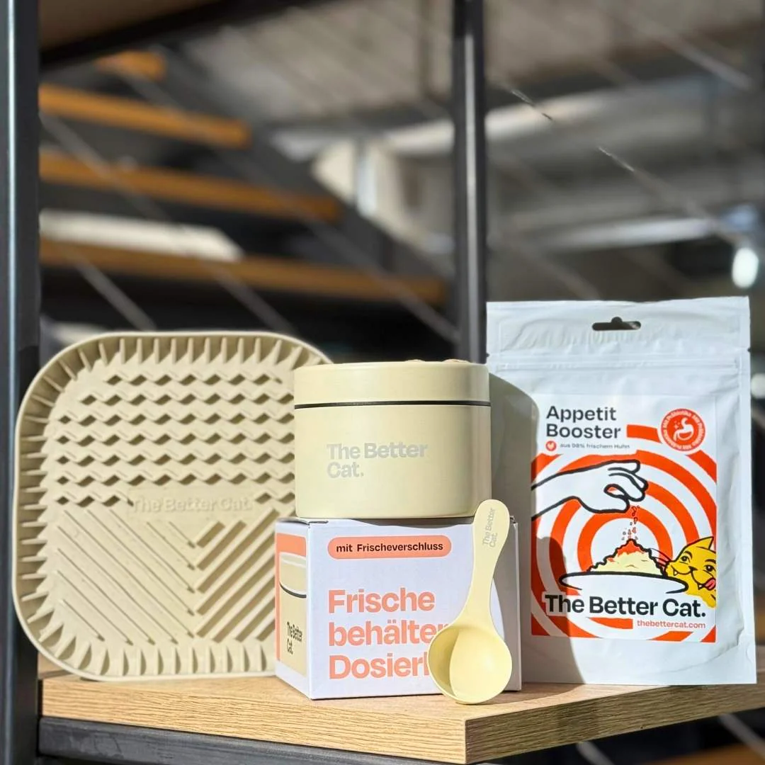 Vorschaubild 13