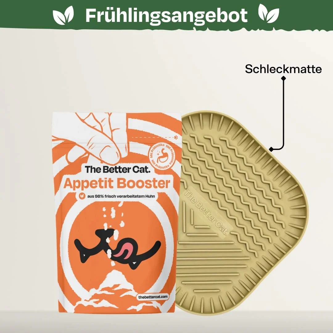 Vorschaubild 15