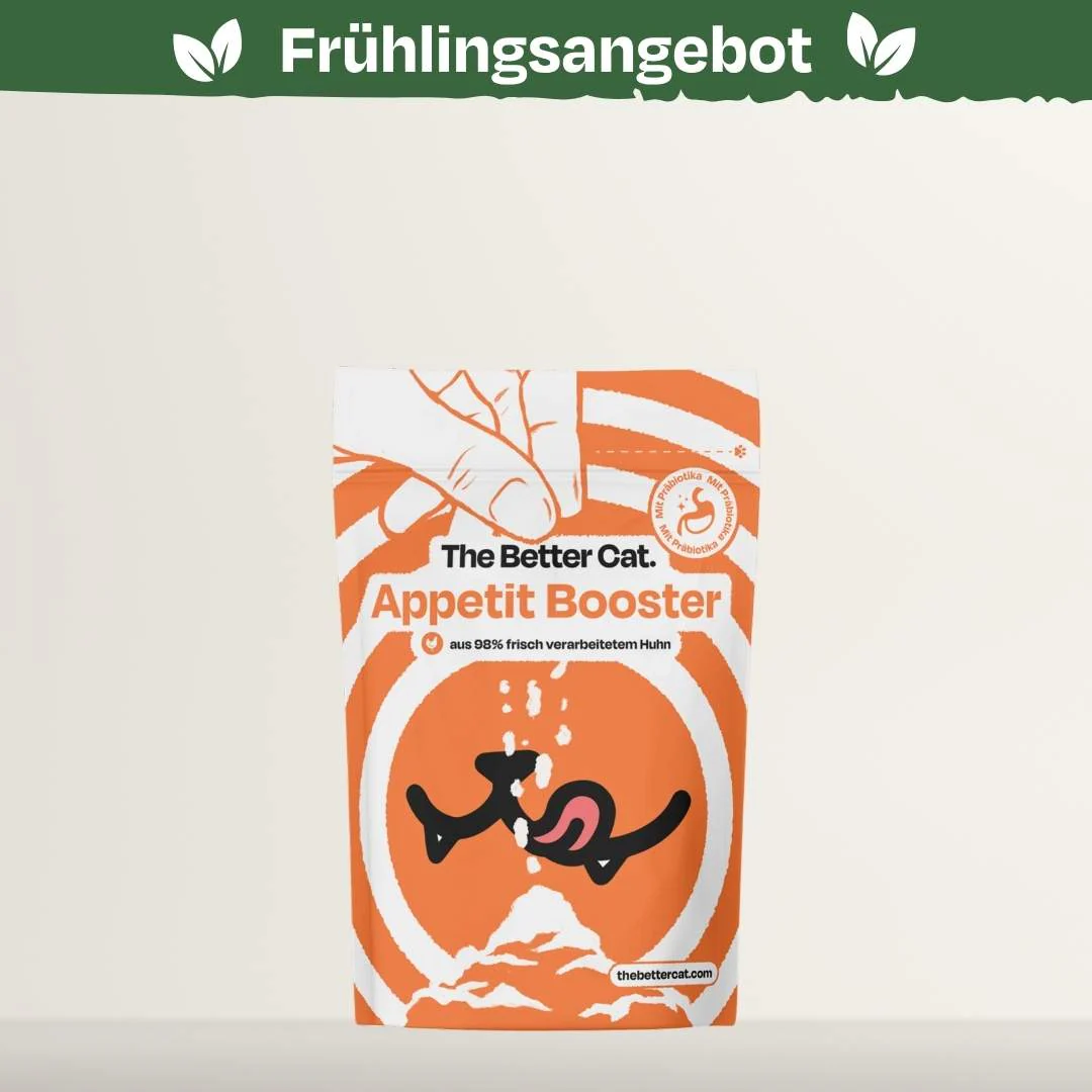 Vorschaubild 16