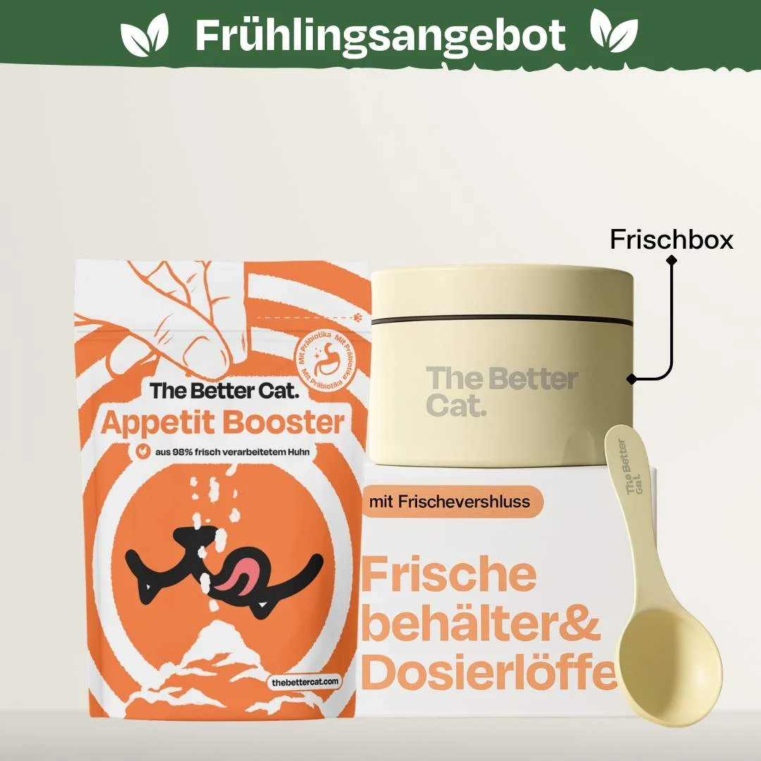 Vorschaubild 17