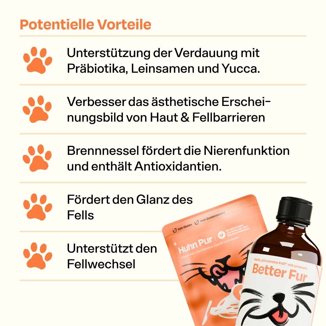 Vorschaubild 6