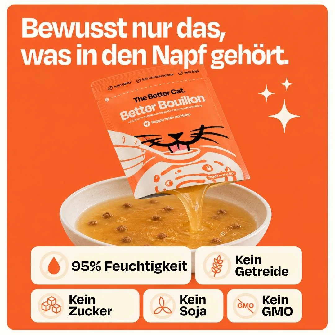 Vorschaubild 10