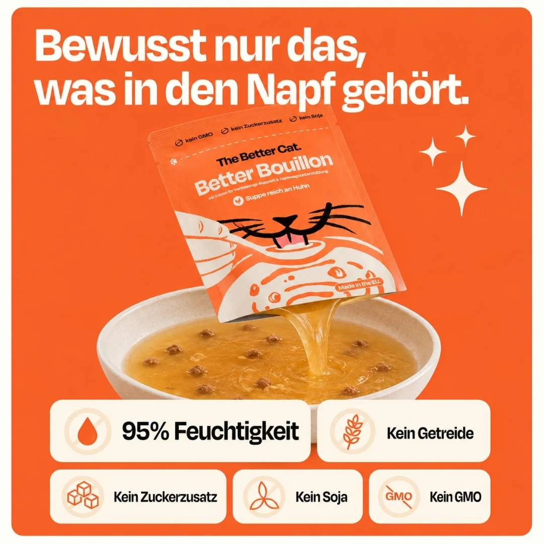 Vorschaubild 11