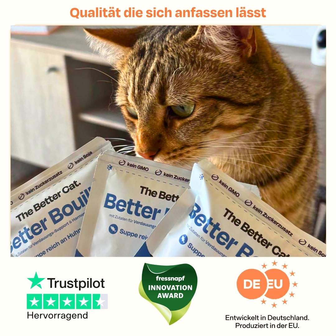 Vorschaubild 7