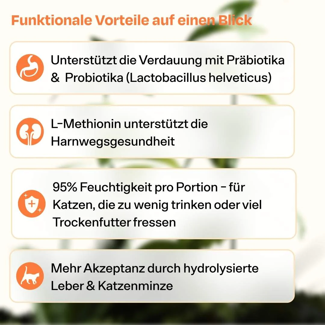 Vorschaubild 8
