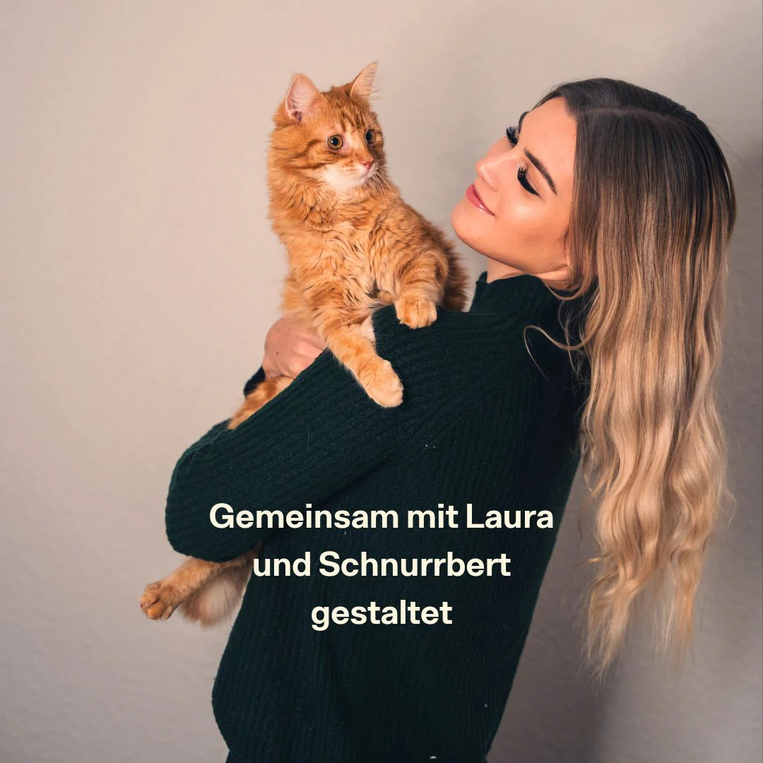 Vorschaubild 6