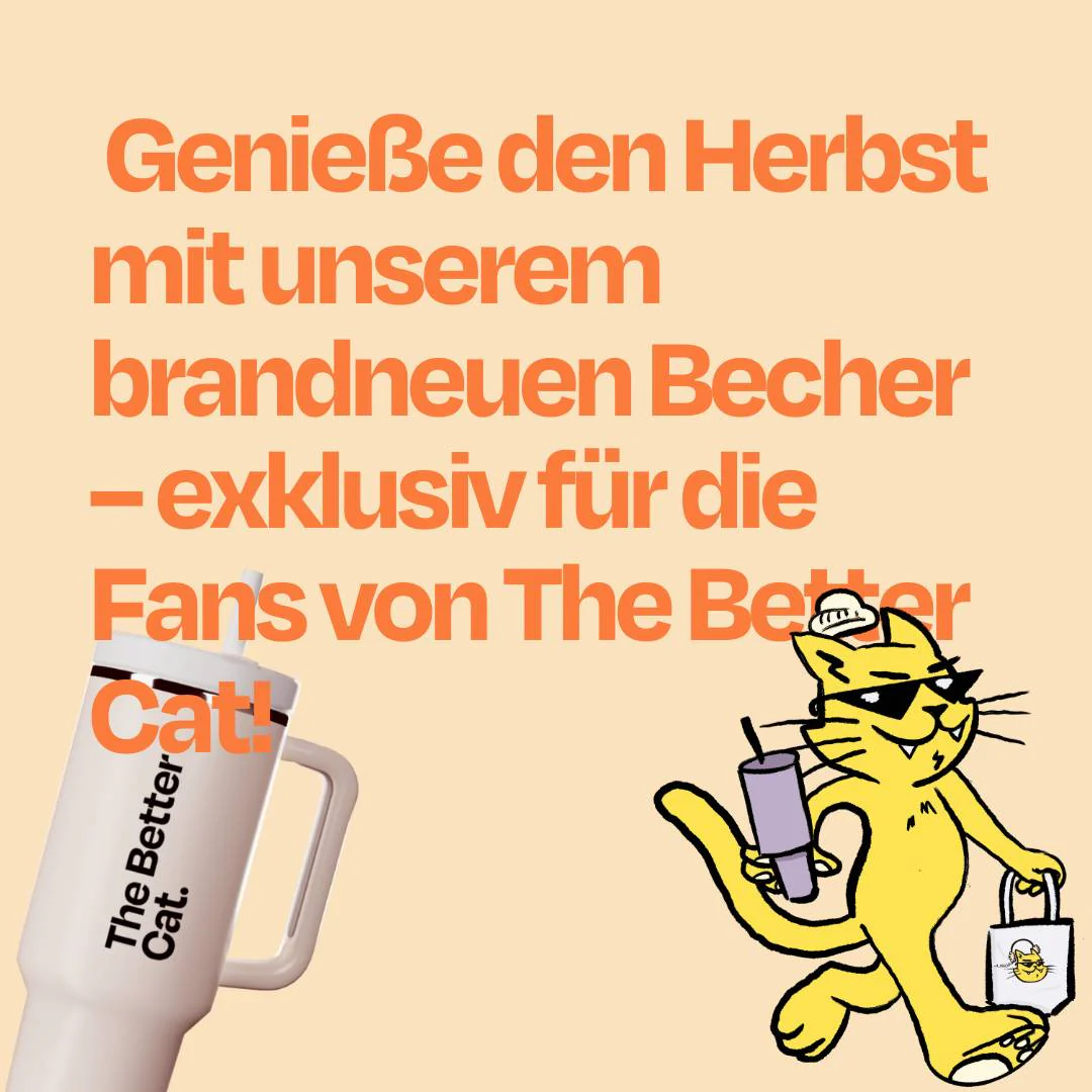 Vorschaubild 13
