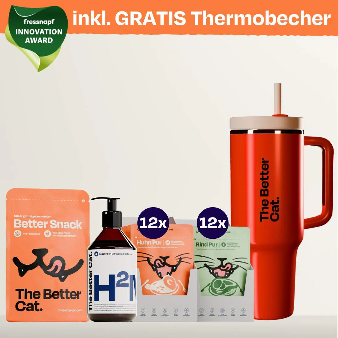 Vorschaubild 21