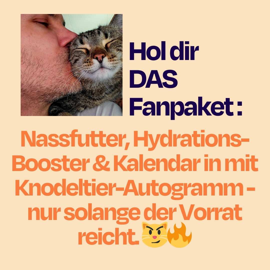 Vorschaubild 13