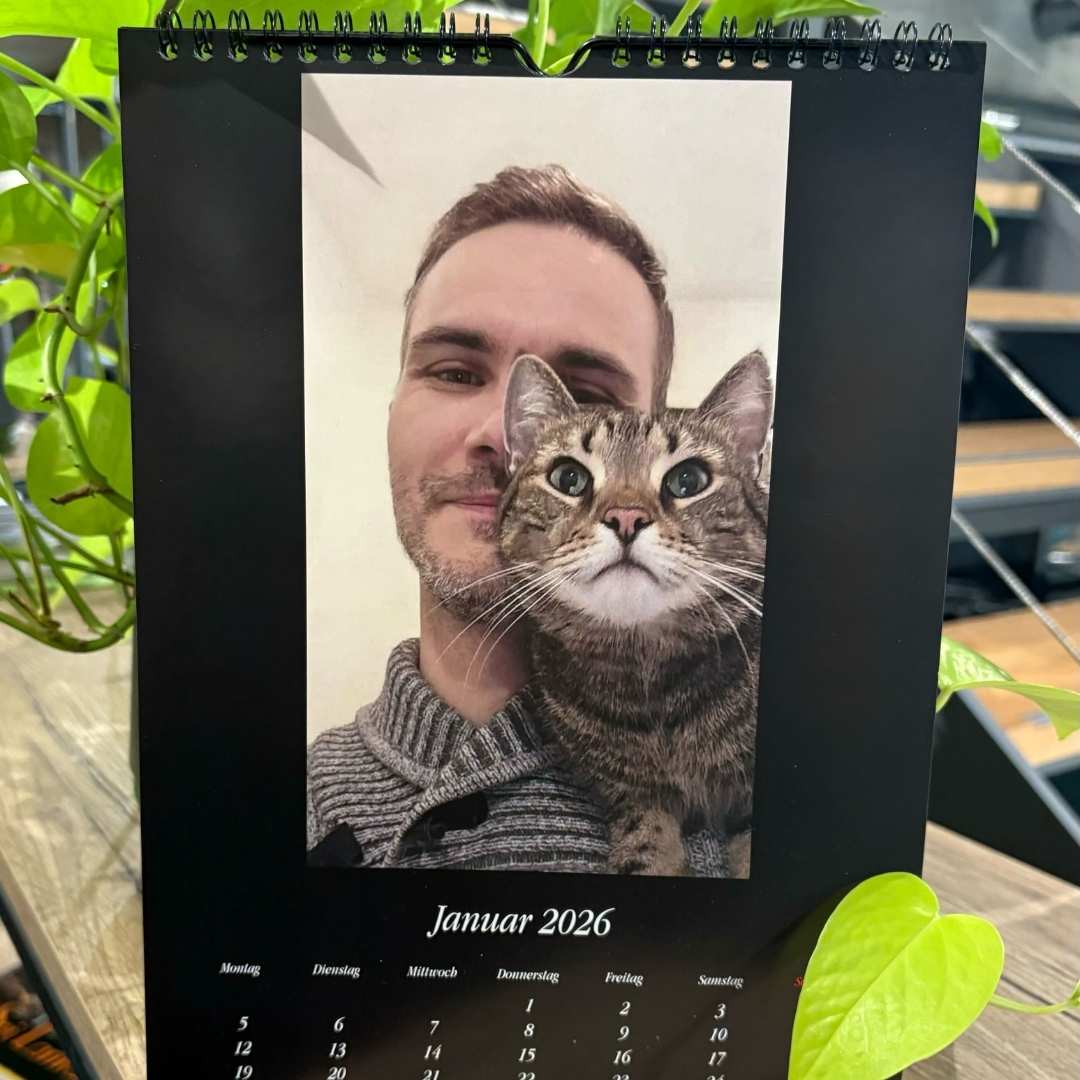 Vorschaubild 7