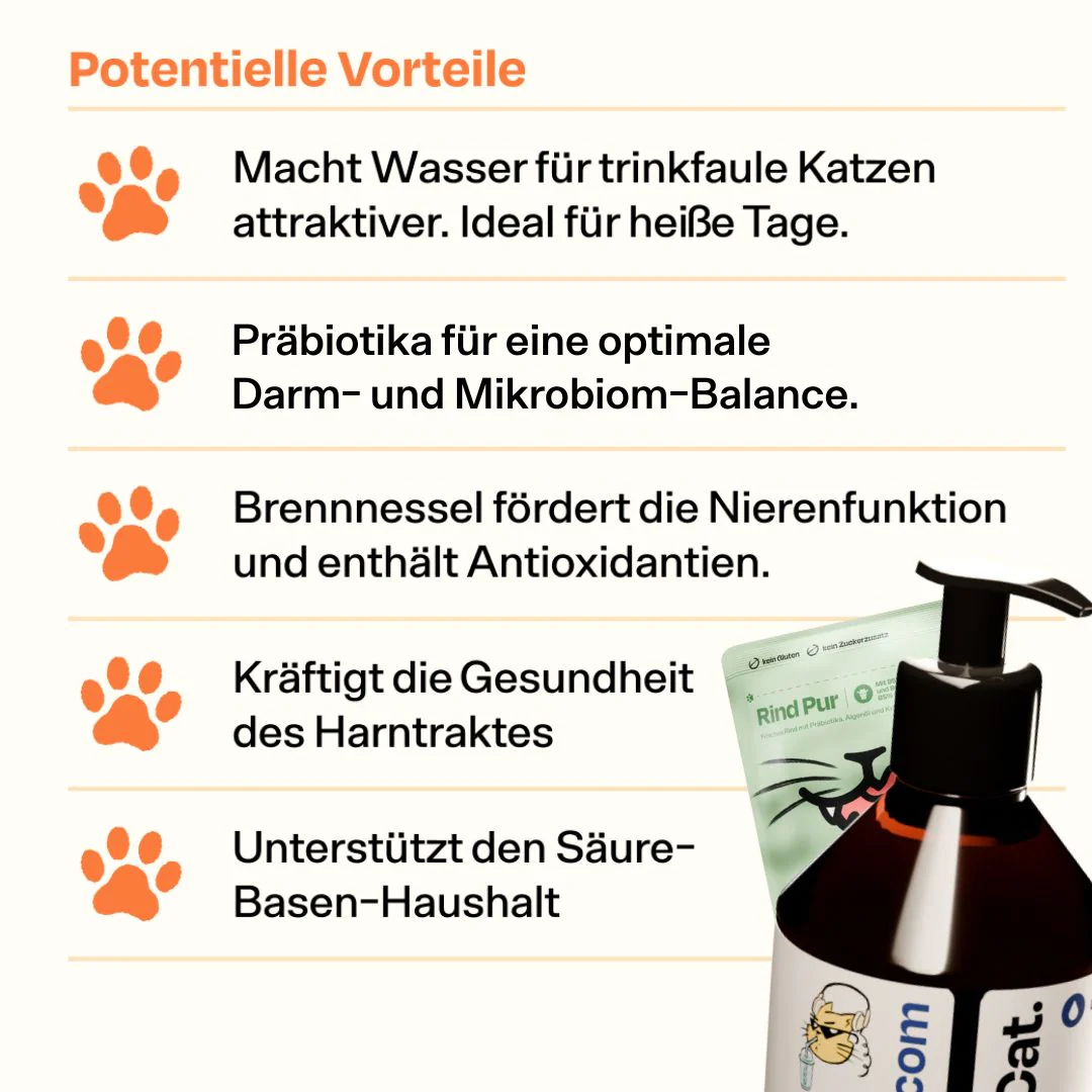 Vorschaubild 6