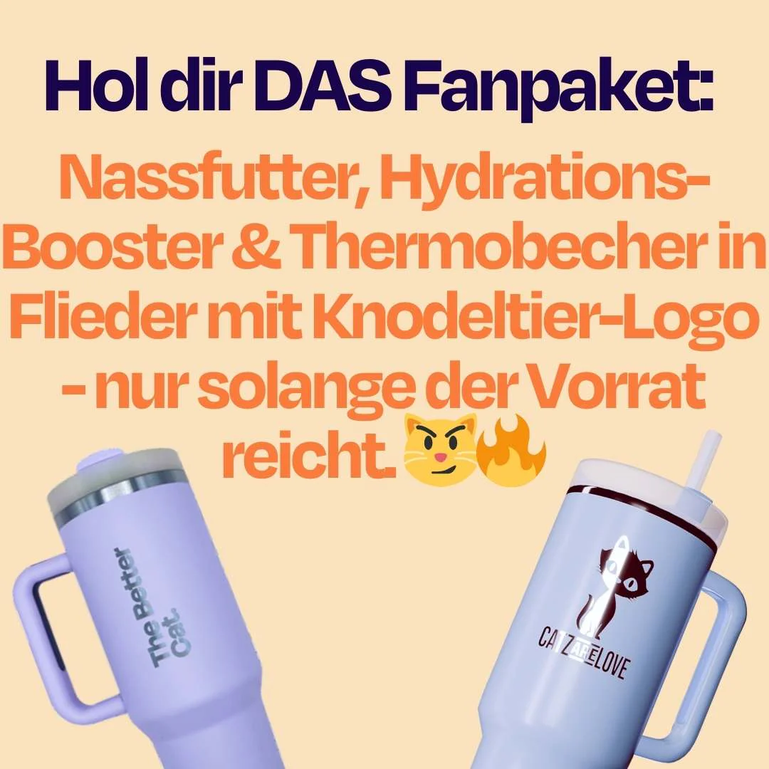Vorschaubild 14