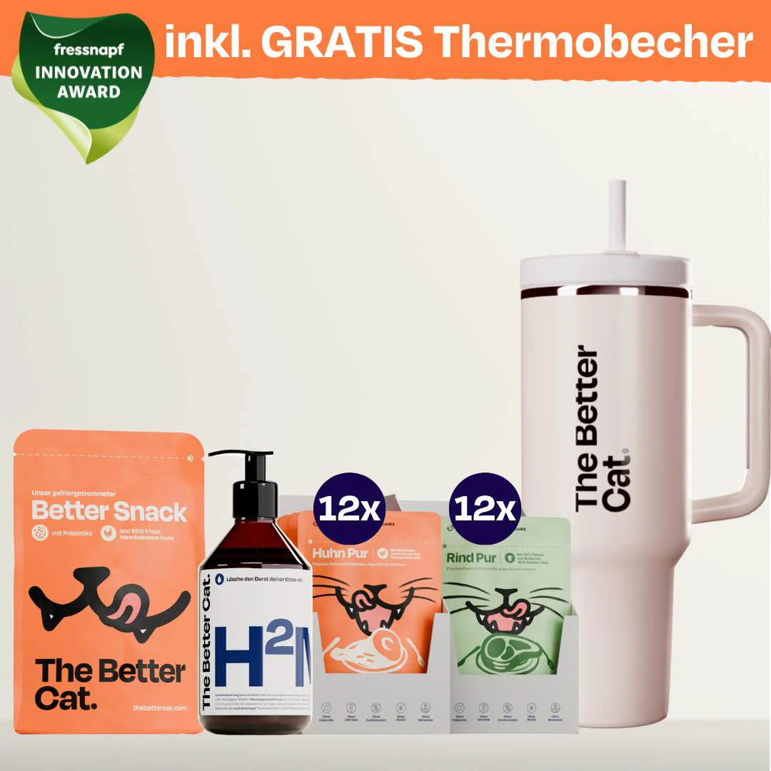 Vorschaubild 22