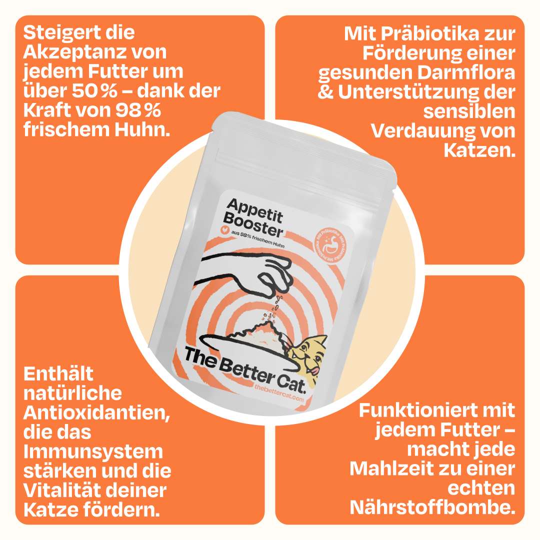 Vorschaubild 10