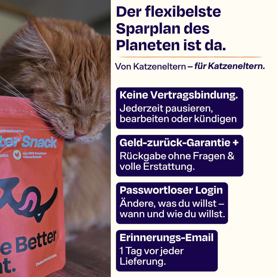 Vorschaubild 11