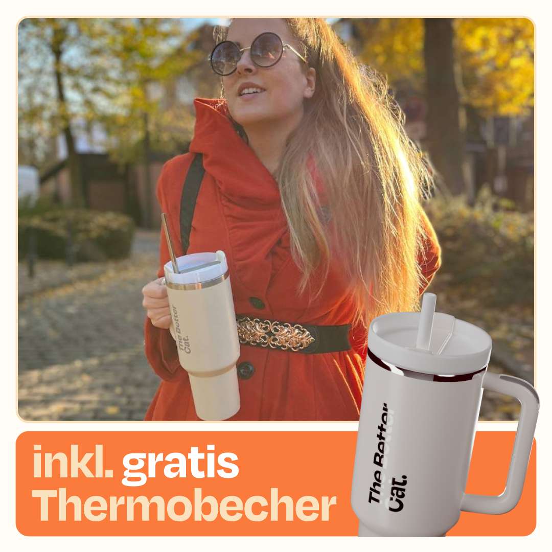 Vorschaubild 12
