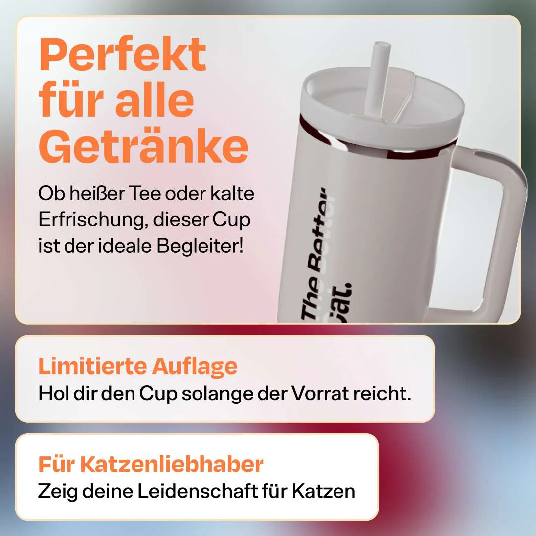 Vorschaubild 13
