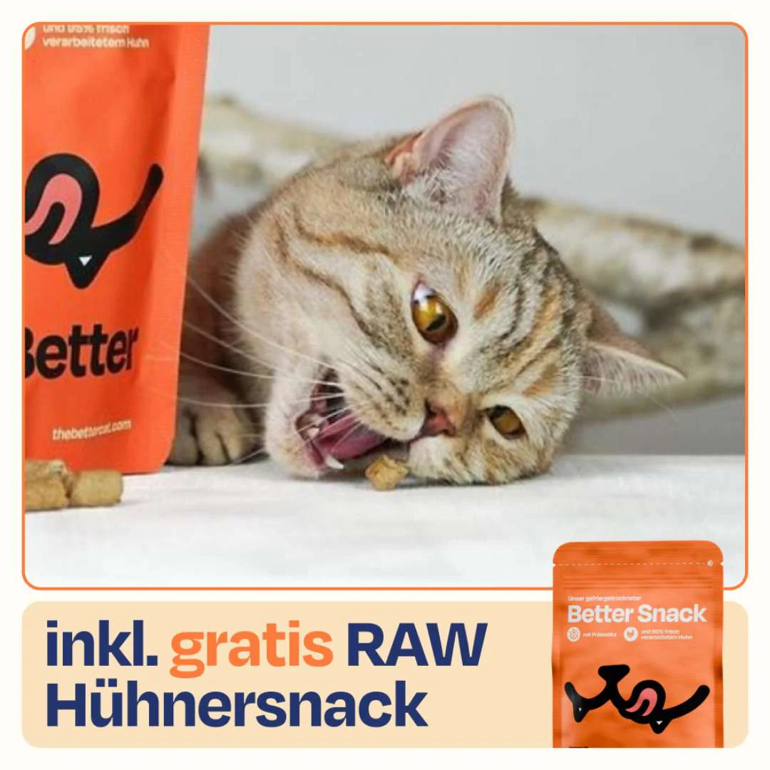 Vorschaubild 15