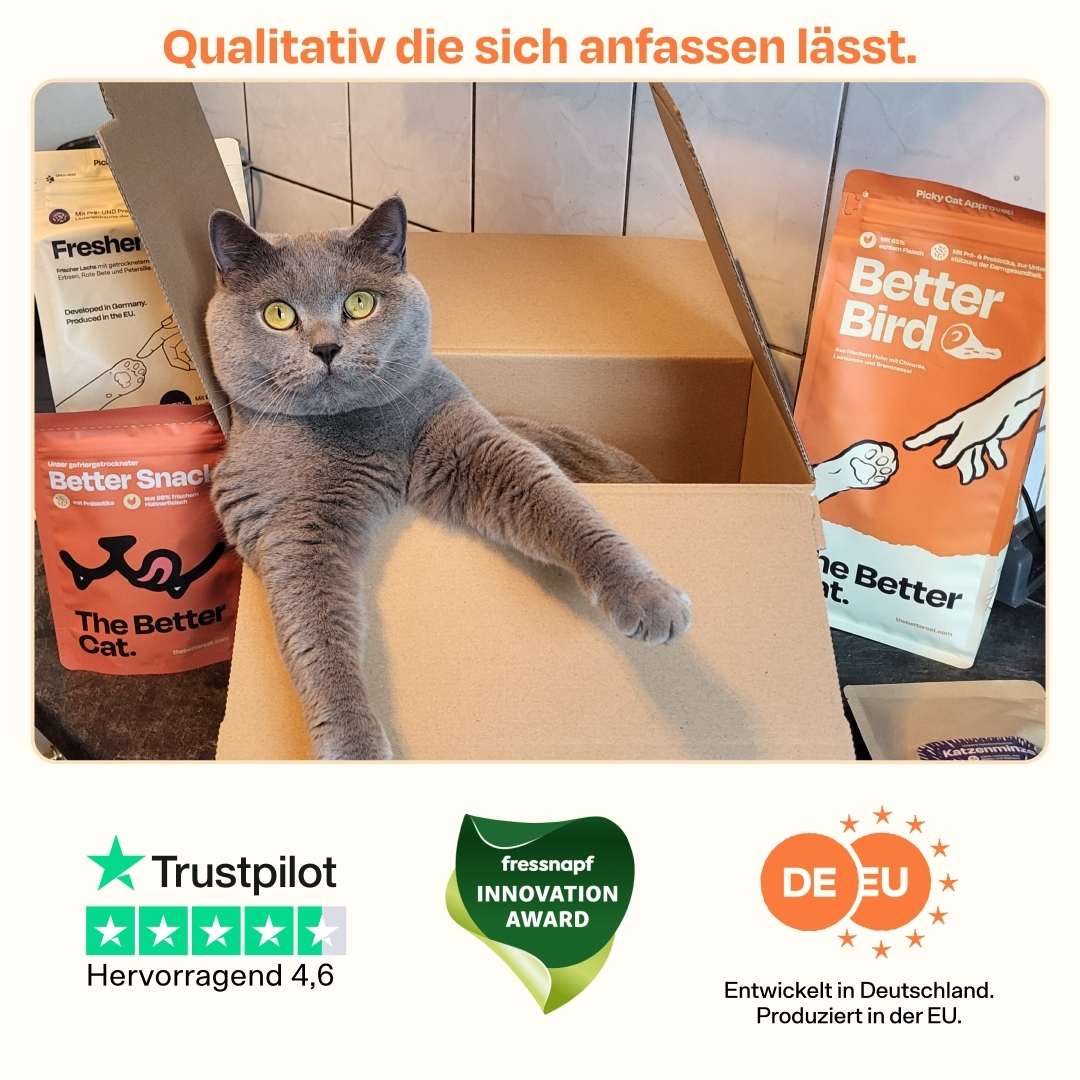 Vorschaubild 4