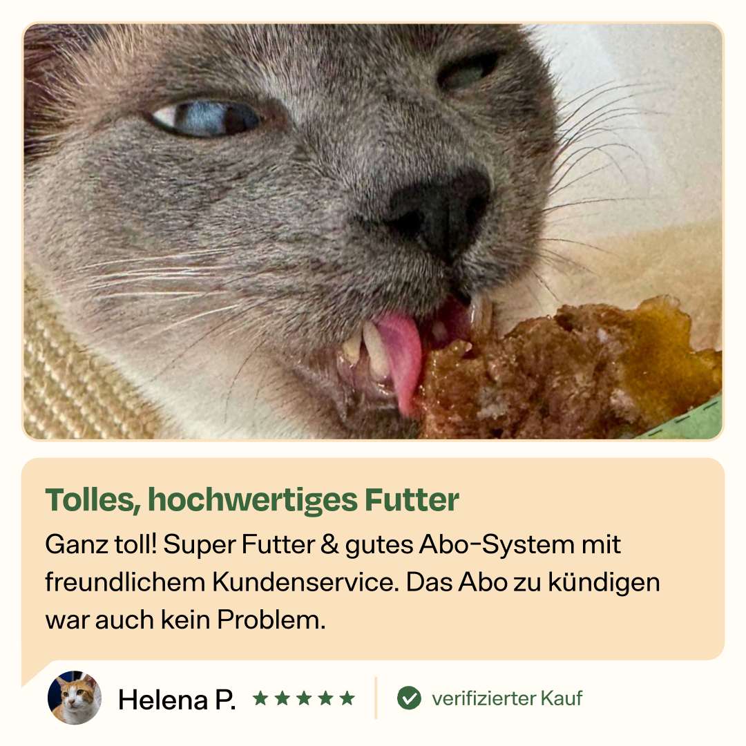 Vorschaubild 8