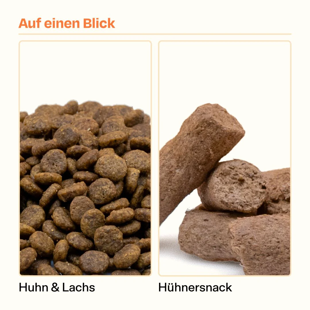 Vorschaubild 6