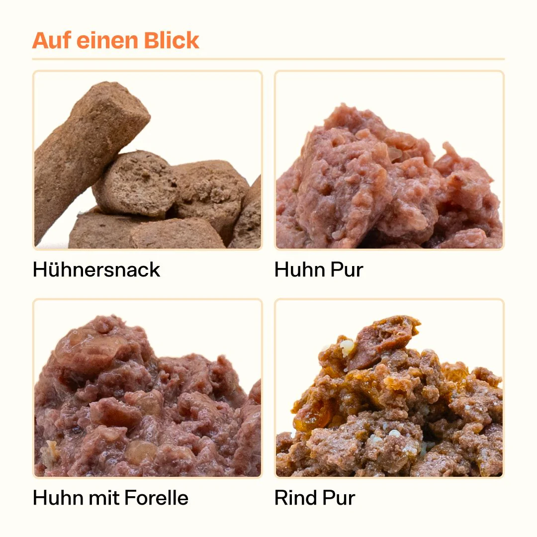 Vorschaubild 5