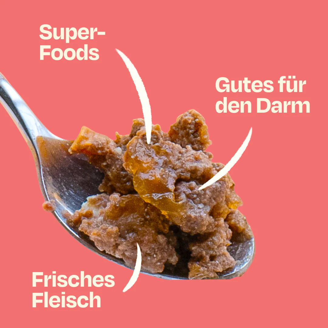 Vorschaubild 13