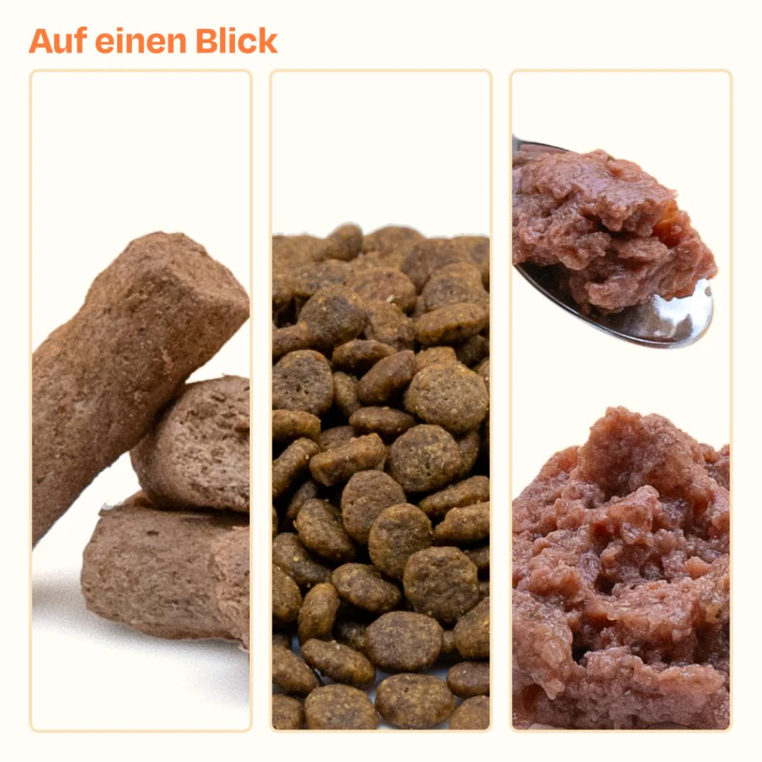 Vorschaubild 6
