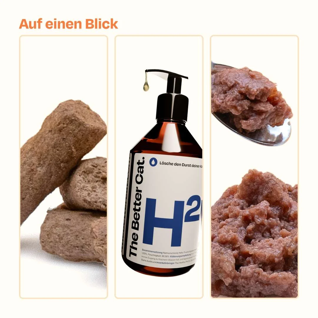 Vorschaubild 13