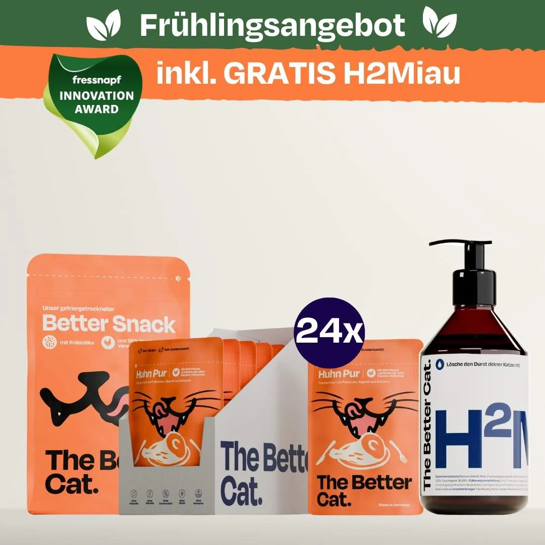 Vorschaubild 22