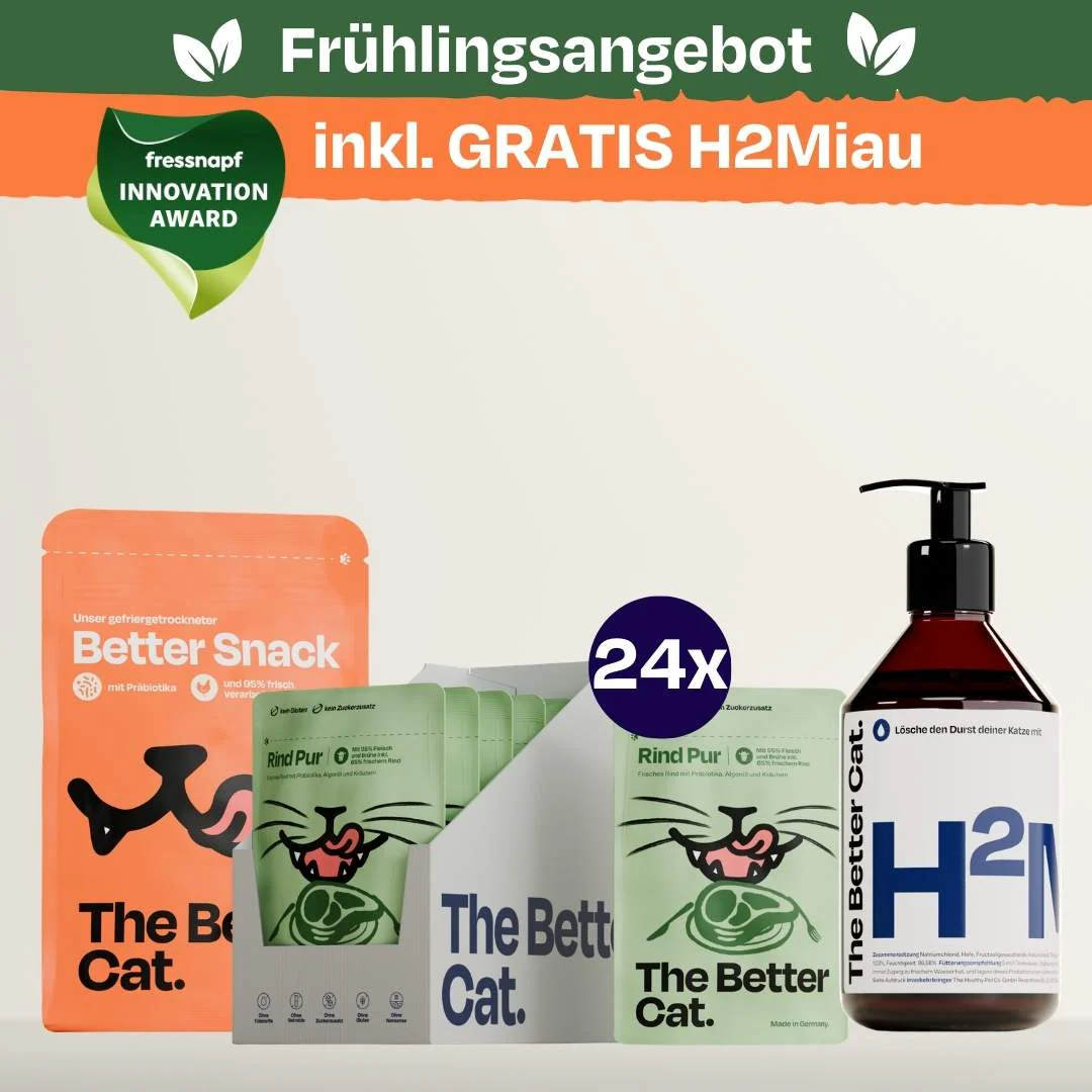 Vorschaubild 23