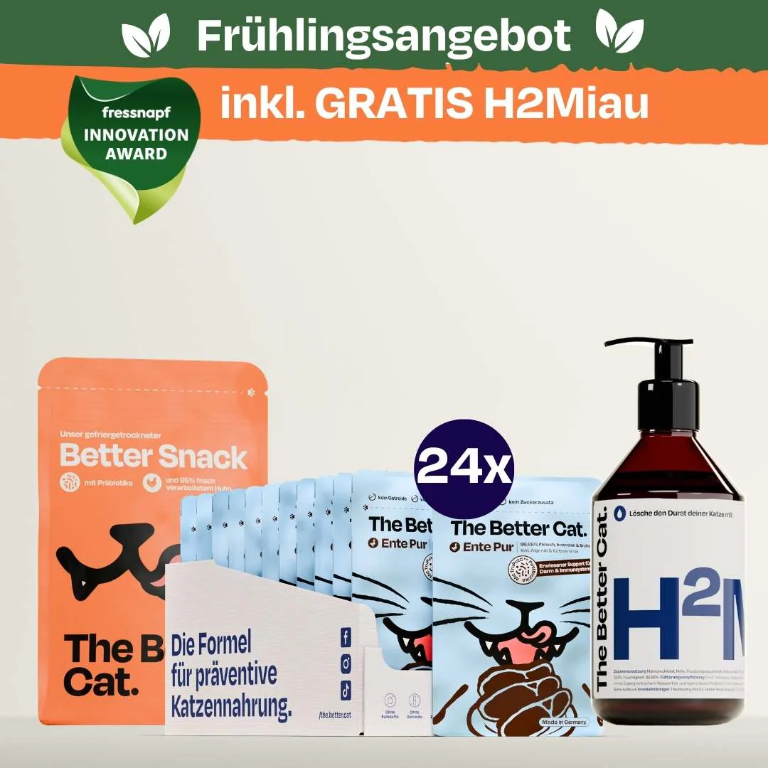 Vorschaubild 24