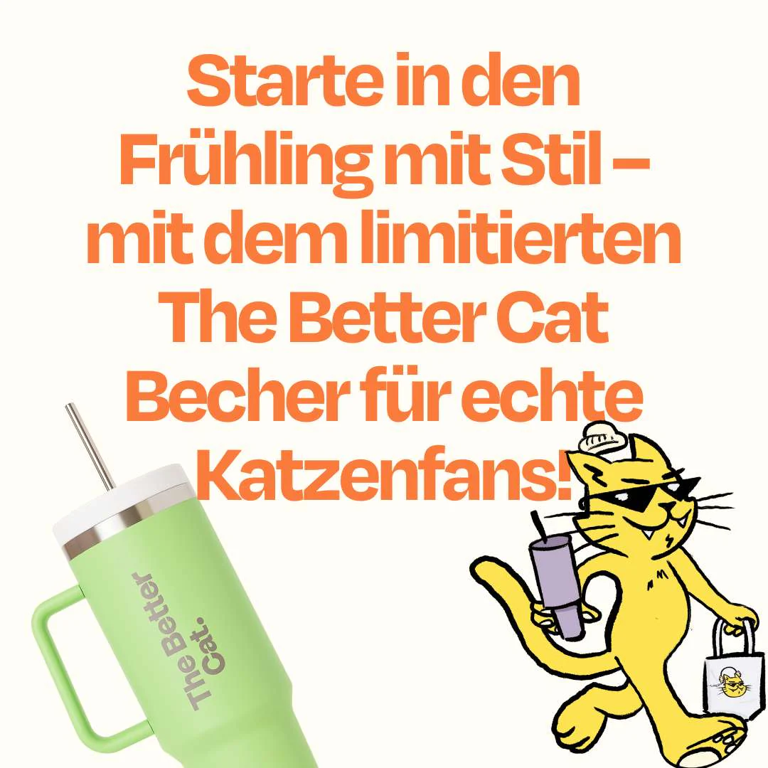 Vorschaubild 15