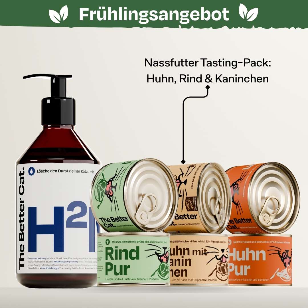 Vorschaubild 21