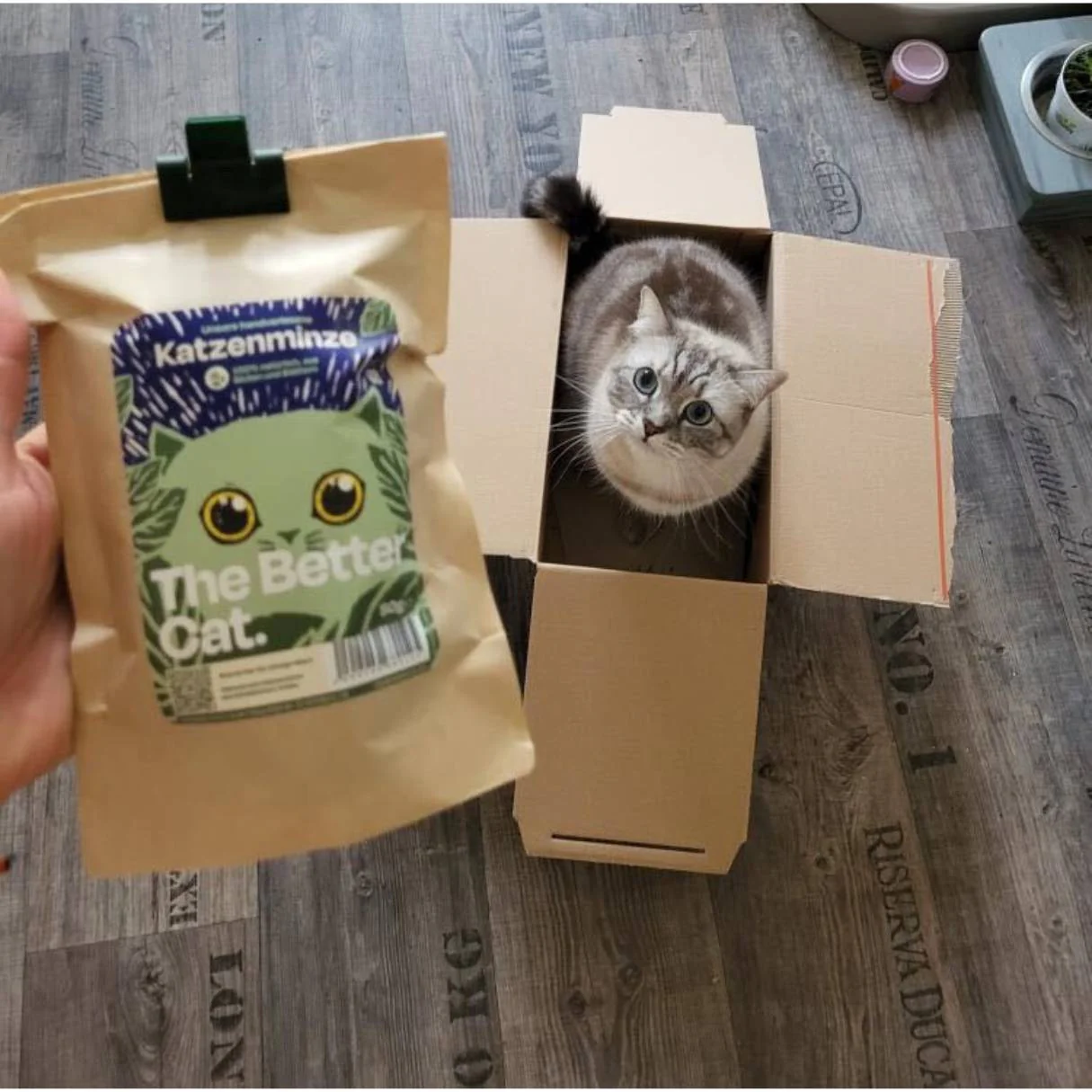 Vorschaubild 3