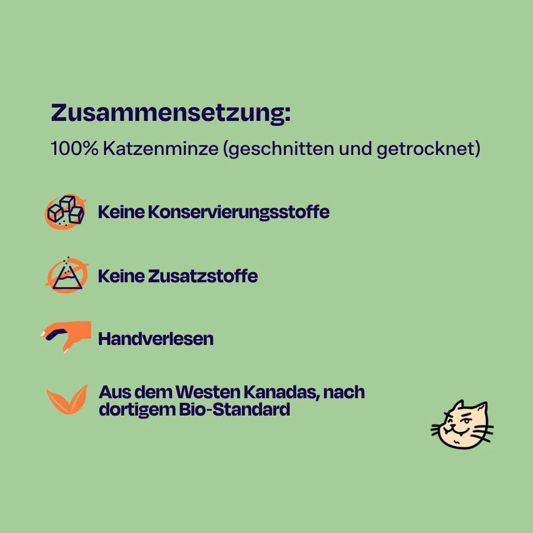 Vorschaubild 12