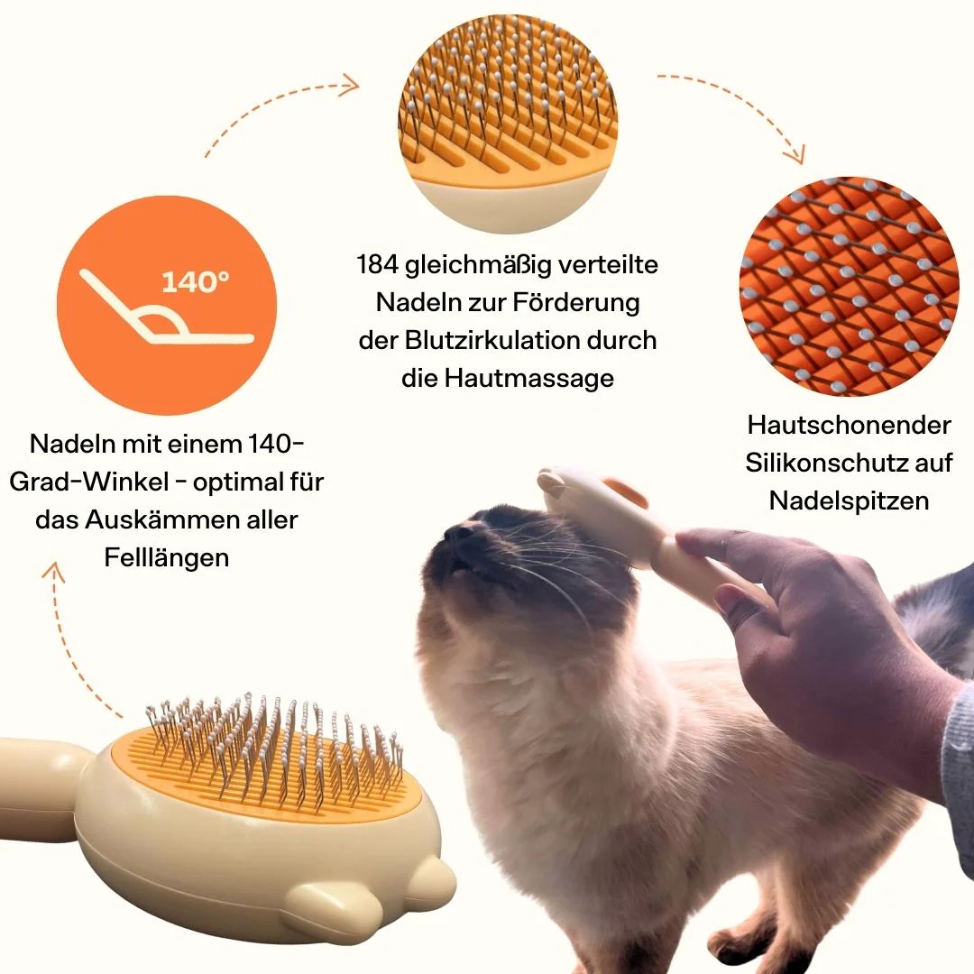 Vorschaubild 6