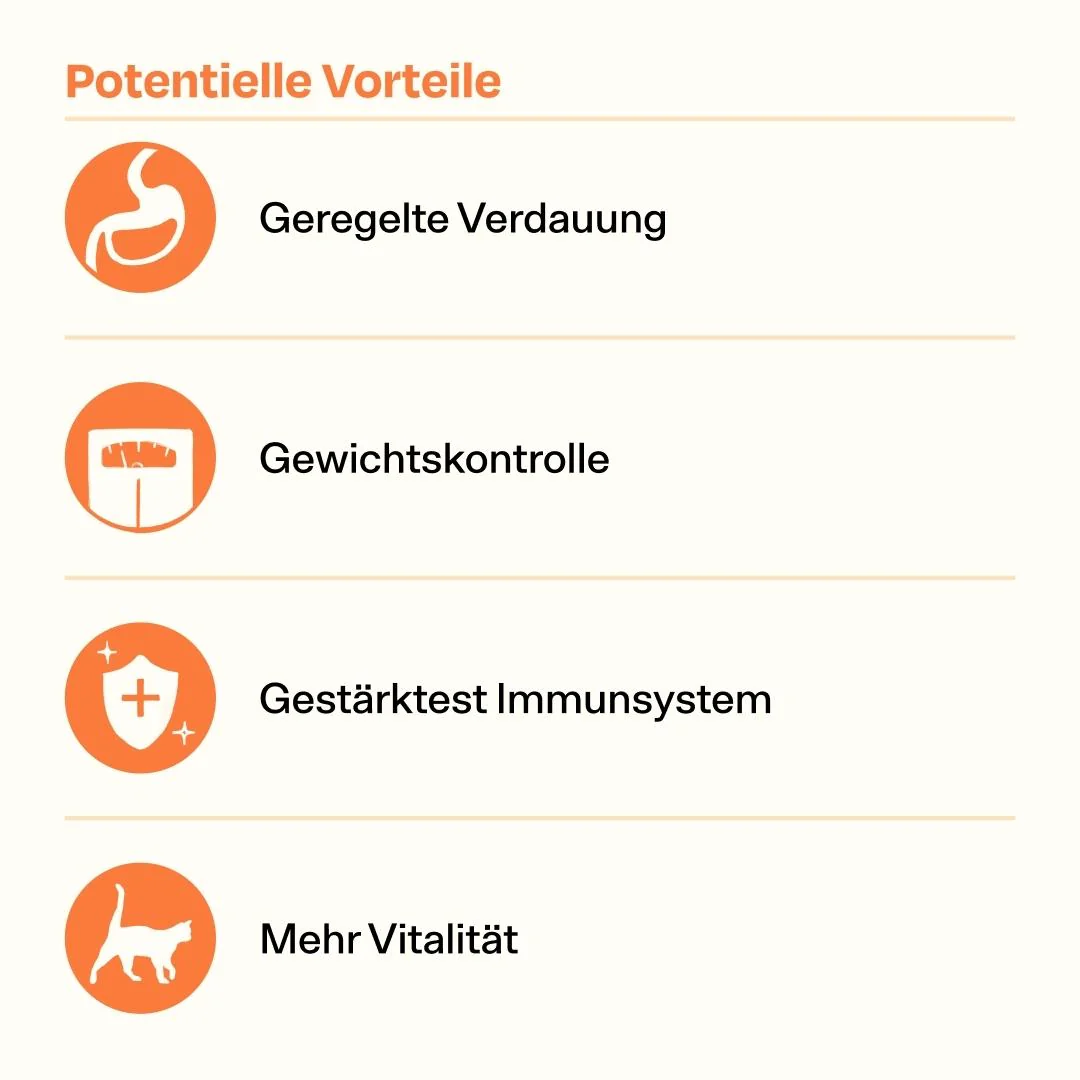 Vorschaubild 8