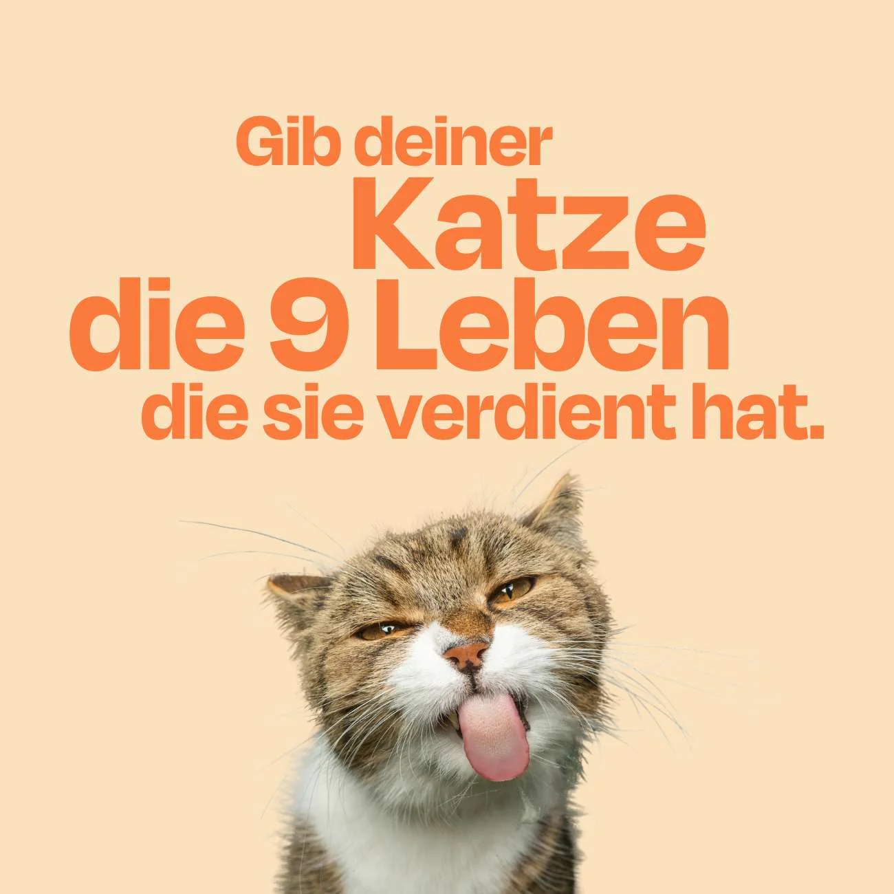 Vorschaubild 11