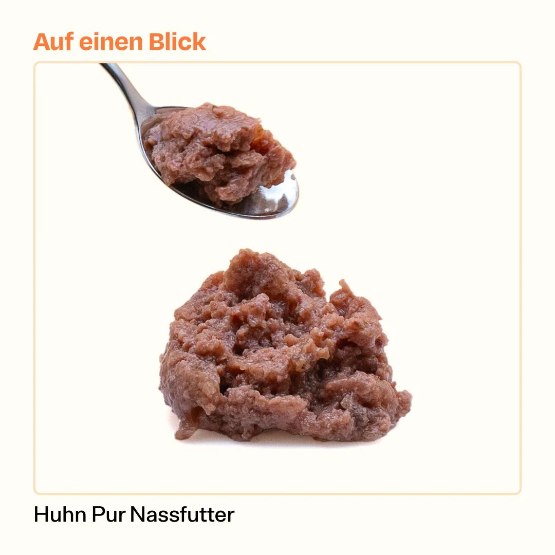 Vorschaubild 6