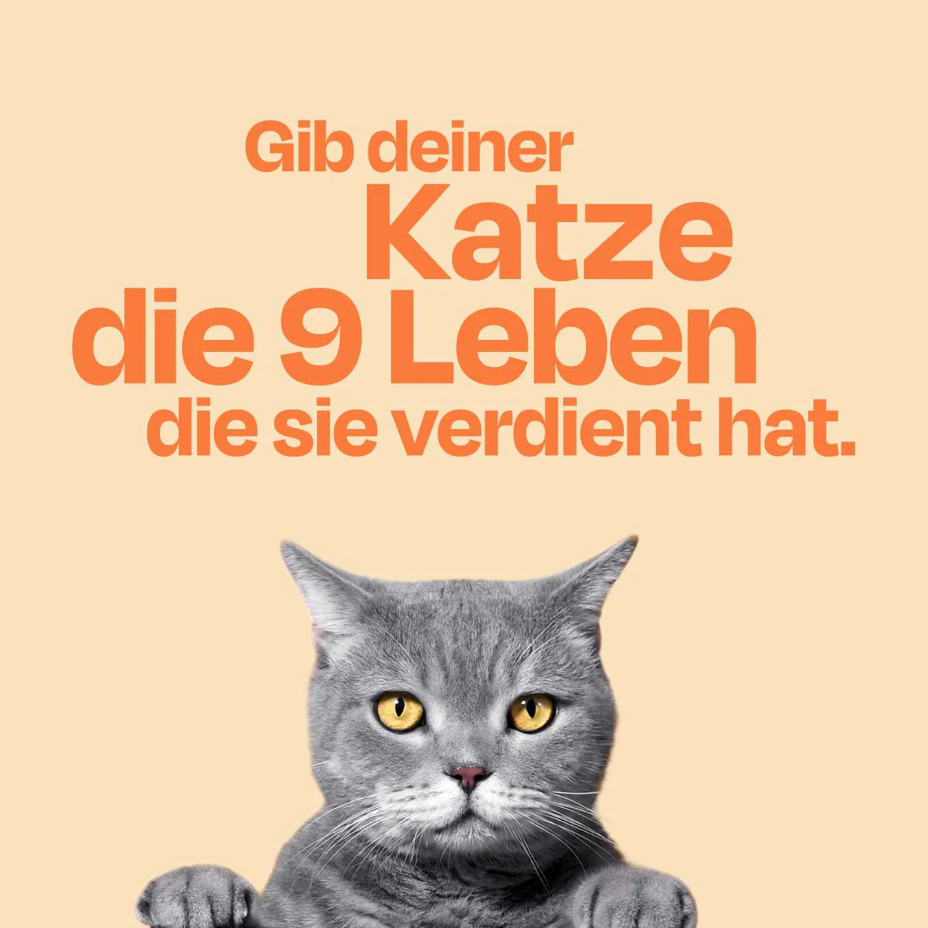 Vorschaubild 10