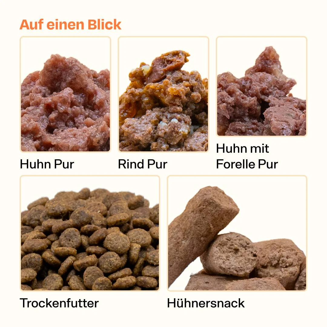 Vorschaubild 7
